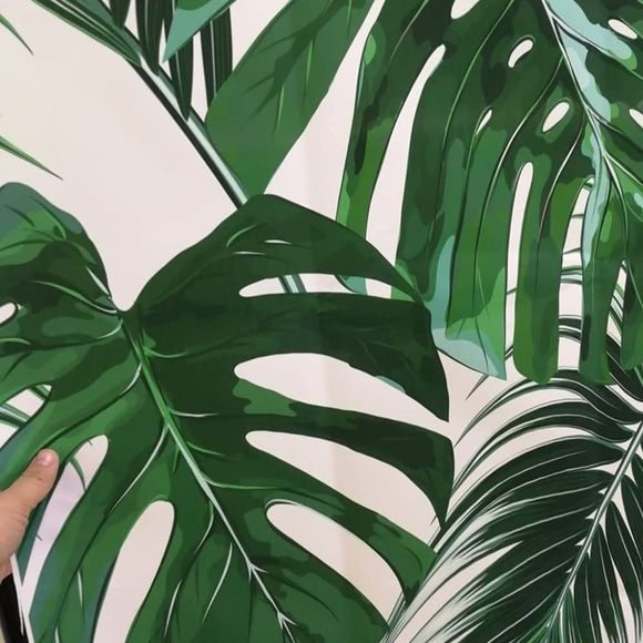 5x7ft Summer Backdrop Tropical Palm Leaves Background Photography Decora… - Picture 6 of 6